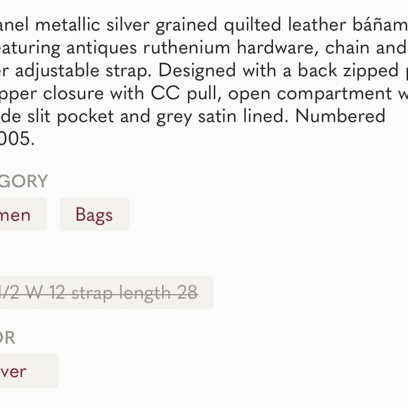 Chanel Cambon Metallic Bumbag - Picture 6 of 11